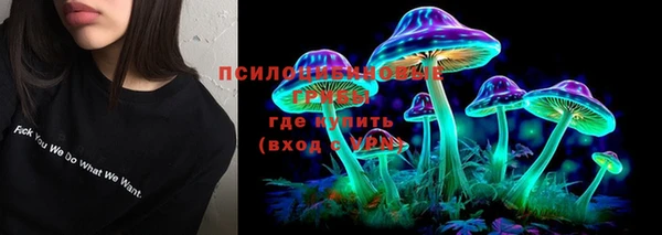 гашик Остров