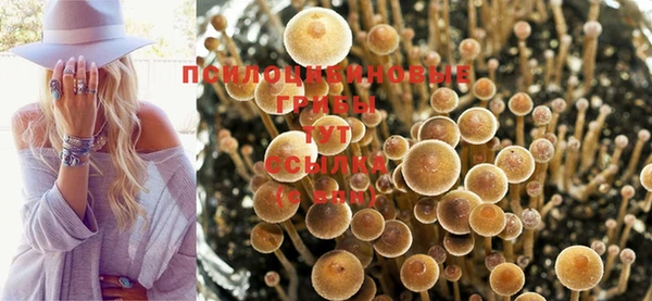 гашик Остров
