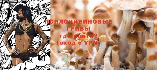 гашик Остров