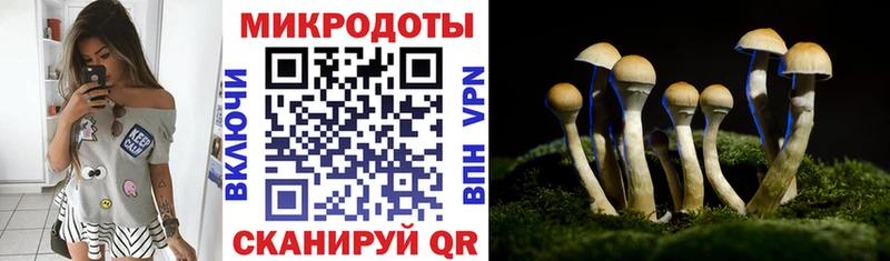 Галлюциногенные грибы Cubensis  где продают наркотики  Калачинск 